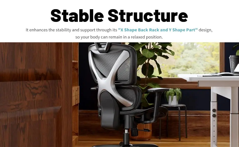 Ergonomic Office Chair with Lumbar Support