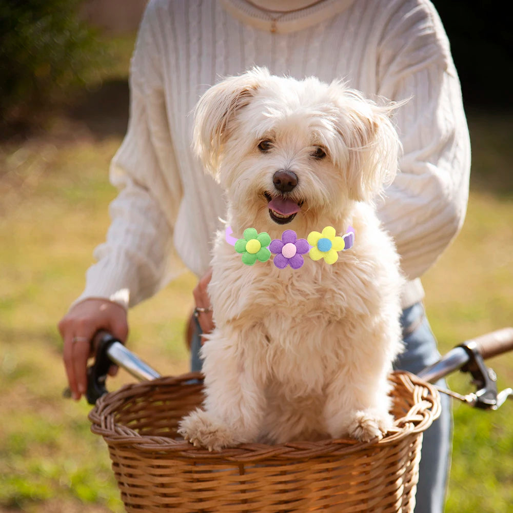50/100 Pcs Colorful Pet Bowties
