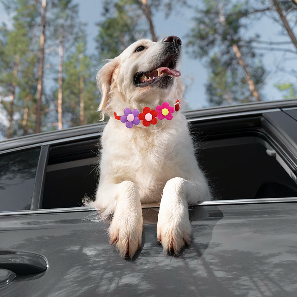 50/100 Pcs Colorful Pet Bowties