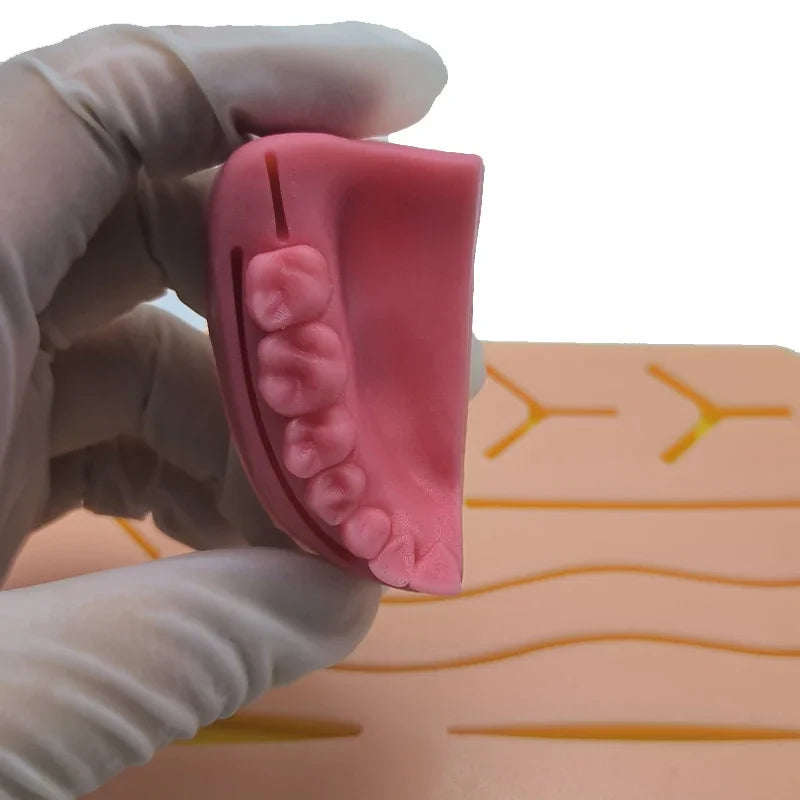 Dental Suture Surgical Practice Kit