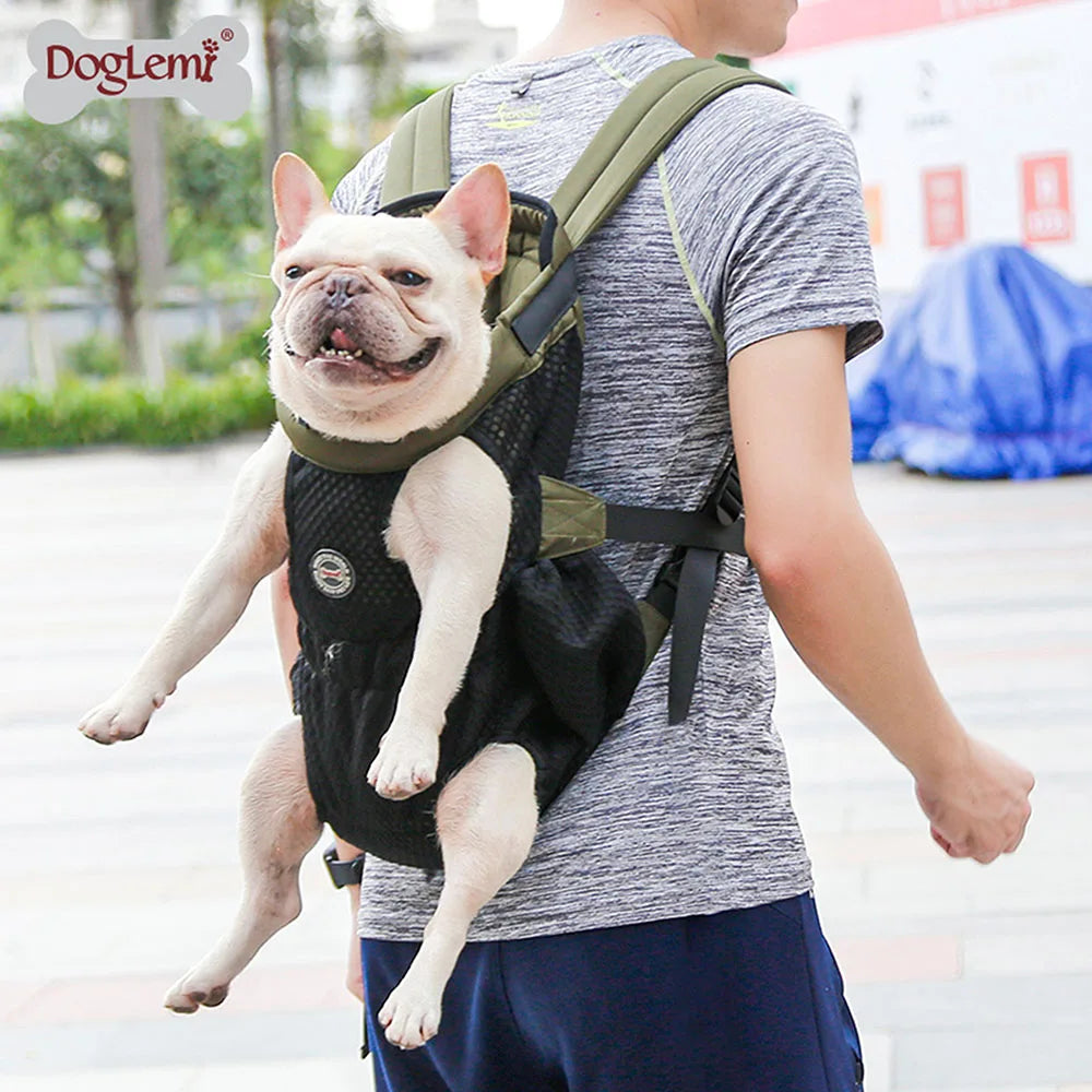 Pet travel carrier bag